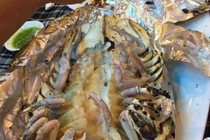 Loài sinh vật biển xấu xí được săn đón vì ngon hơn cả tôm hùm