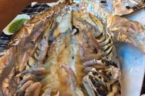 Loài sinh vật biển xấu xí được săn đón vì ngon hơn cả tôm hùm