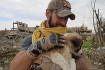 Chú chó vượt gần 5.000km, qua 2 vùng chiến sự để đoàn tụ với chủ