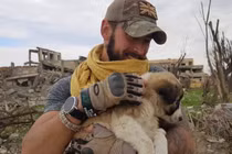 Chú chó vượt gần 5.000km, qua 2 vùng chiến sự để đoàn tụ với chủ