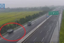Lái xe ngược chiều trên cao tốc, nữ tài xế nhận "cái kết đắng”