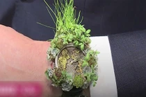 Video: Độc đáo bộ sưu tập đồng hồ từ hoa cỏ thật