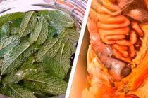 Bệnh về gan sẽ tránh xa nếu bạn uống loại nước này