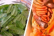 Bệnh về gan sẽ tránh xa nếu bạn uống loại nước này