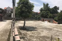 Anh chồng đâm chết nhân tình của em dâu