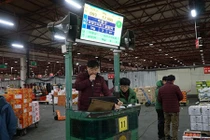 Đi chợ đấu giá rau, khoai, dâu tây ở xứ Hàn giữa trời âm 4 độ C