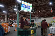 Đi chợ đấu giá rau, khoai, dâu tây ở xứ Hàn giữa trời âm 4 độ C