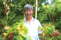 Vượt qua thú dữ, rắn độc, hái rau rừng kiếm tiền triệu