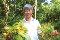 Vượt qua thú dữ, rắn độc, hái rau rừng kiếm tiền triệu