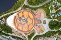 Thêm loạt ảnh về chú rùa khổng lồ đang gây náo loạn Phú Quốc