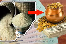 Vị trí chuẩn đặt hũ gạo trong nhà, gia chủ tha hồ thu lộc