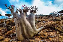 Video: Hòn đảo biệt lập có vẻ đẹp tựa trên hành tinh khác