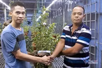 Bỏ 4,5 triệu chơi thử, gây dựng gia tài 10 tỷ đồng