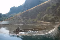 Bắt thủy quái Sông Đà nặng hơn 50 kg