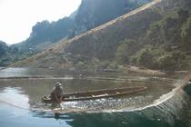 Bắt thủy quái Sông Đà nặng hơn 50 kg