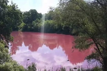 Kinh hoàng hồ nước khổng lồ biến thành "biển máu" sau 1 đêm