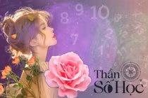 Thần số học 2022: Ngày tháng năm sinh tiết lộ sự nghiệp của bạn