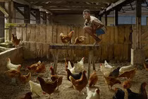 Bi kịch những đứa trẻ được thú hoang nuôi dưỡng