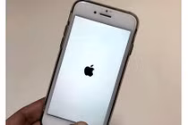 Khắc phục sự cố iPhone 8 hoặc 8 Plus bị treo logo khi khởi động