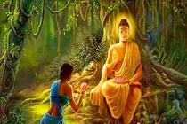 Phật dạy: Muốn hạnh phúc hãy làm điều này mỗi ngày