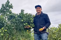  9X Gia Lai về quê khởi nghiệp thu tiền tỷ mỗi năm