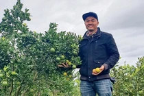  9X Gia Lai về quê khởi nghiệp thu tiền tỷ mỗi năm