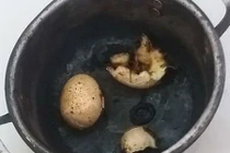 Gái vụng: 10 lần luộc trứng thì 6 lần bị nổ hoặc cháy đen xì nồi
