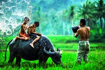 Càng giàu có chúng ta càng mất đi những điều này