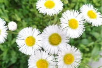 Người sinh vào 3 tháng Âm lịch này, được quý nhân che chở, hậu vận giàu sang