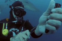 Thợ lặn Mỹ cắt tay trước đàn cá mập xem có bị xé xác