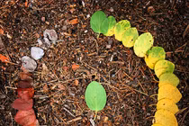 Loạt ảnh hiếm có thể bạn chưa từng thấy trong đời