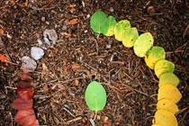 Loạt ảnh hiếm có thể bạn chưa từng thấy trong đời