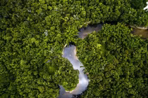 Video: Điều gì xảy ra nếu rừng Amazon biến mất?