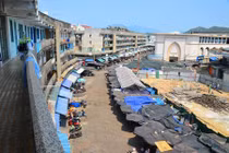 Nha Trang: Kinh hoàng chung cư “ổ chuột” chợ Đầm