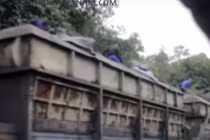 Điều tra làm rõ nghi vấn hàng chục tấn than bị ăn cắp mỗi đêm