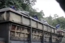 Điều tra làm rõ nghi vấn hàng chục tấn than bị ăn cắp mỗi đêm