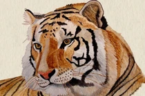 Top 3 con giáp làm tất ăn cả sau Tết Nguyên Đán 2019