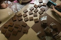 Trò lừa tinh vi và những cách ghê rợn đưa hổ về Việt Nam