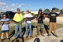 Bắn bể đầu trăn "khủng" ở Nam Florida