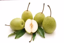 Tuyệt chiêu chọn lê chuẩn hàng Việt Nam không ngậm thuốc