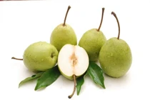 Tuyệt chiêu chọn lê chuẩn hàng Việt Nam không ngậm thuốc