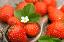 Những loại quả vừa ngon vừa bổ, ai không ăn là thiệt