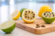 Công thức đơn giản đuổi cả đàn muỗi ra khỏi nhà hiệu quả