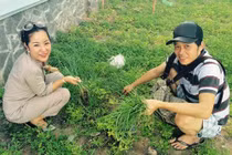 Hoài Linh: Nhặt cỏ, tưới cây là niềm vui mỗi ngày của tôi