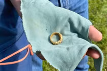 Đi tìm nhẫn cưới thất lạc cho ông nội, cậu bé phát hiện "của hiếm"