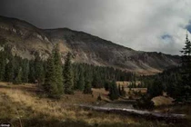 Đại gia bí ẩn mua trang trại mênh mông giá 2300 tỷ đồng