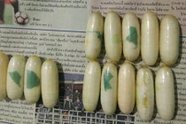 Người đàn ông nuốt 1,3 kg cocaine bị bắt ở Bangkok