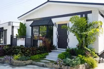 4 loại cây trồng trước cửa tăng lộc khí, nhà giàu nào cũng có