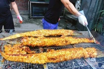 Cậu học sinh lớp 12 buôn thịt cá sấu lãi 50 triệu/tháng