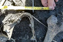 Chồng hốt hoảng phát hiện vợ giết chồng cũ rồi chôn xác